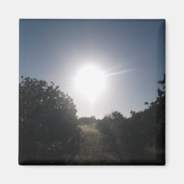 MAGNET ART&DESIGN DEKORATION