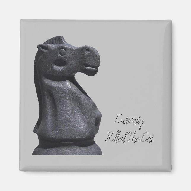 Magnet Ausdruck "Neugier tötete die Katze" (Vorne)