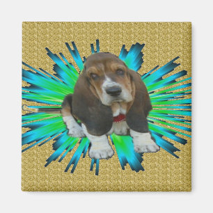 Magnet Baby Basset Hound Sheldon