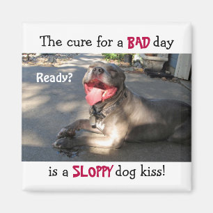 Magnet baiseur de chien