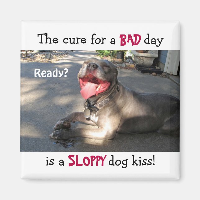 Magnet baiseur de chien (Devant)