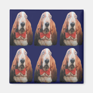 Magnet Basset Hounds