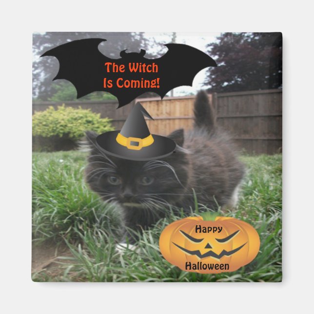 Magnet Black Cat die Hexe kommt (Vorne)