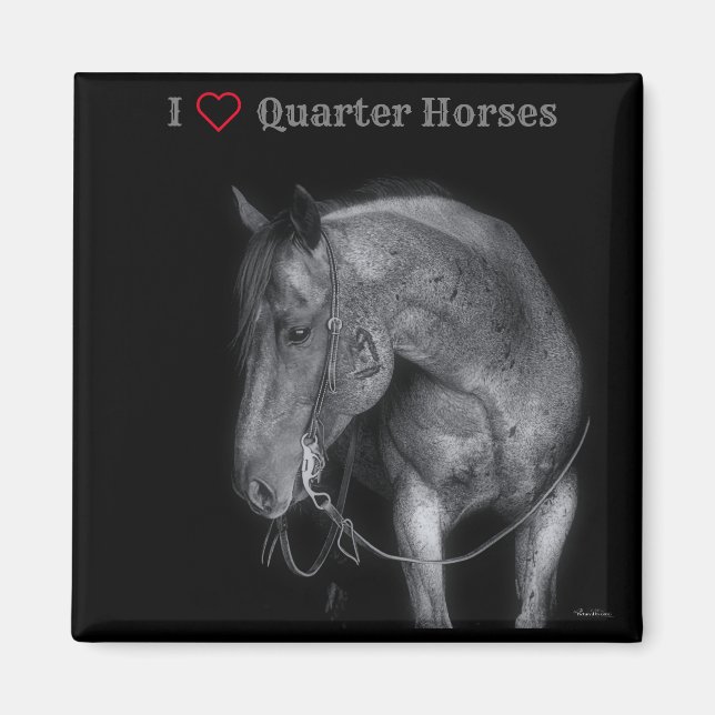 Magnet Black & White Quarter Horse (Devant)