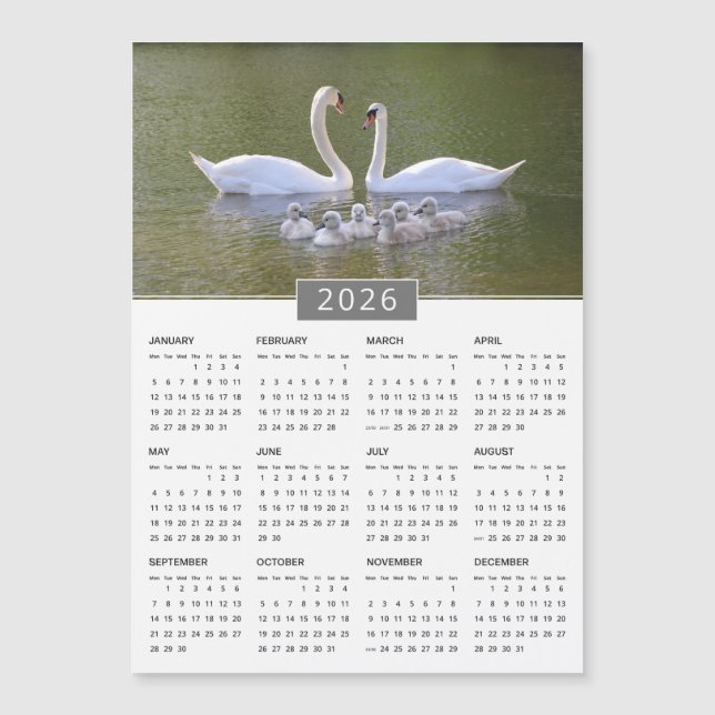 Magnet Calendrier cygne et cygnets 2026 (Devant)