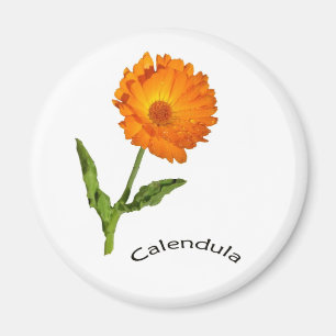 Magnet - Calendula und Text