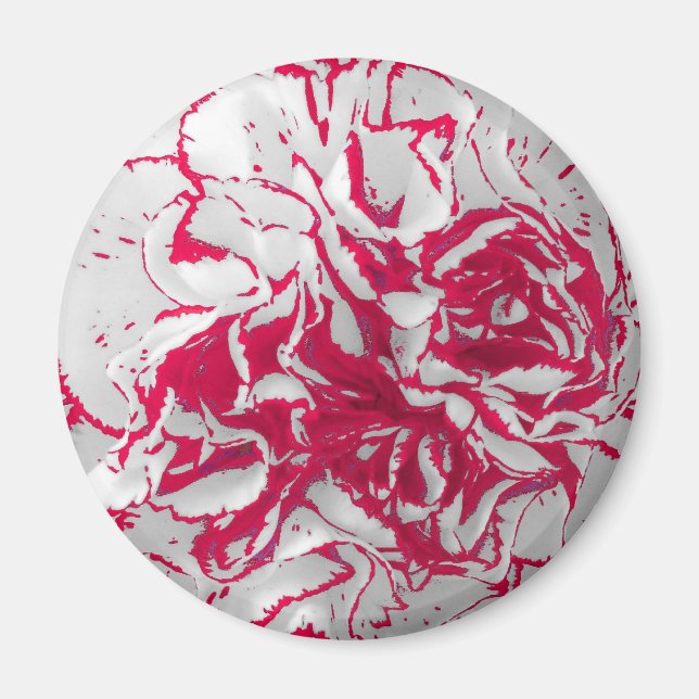 Magnet - Carnation in Rot und Weiß (Vorne)