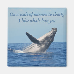 Magnet Carré de 2 pouces