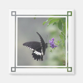Magnet Carré de jardin papillon
