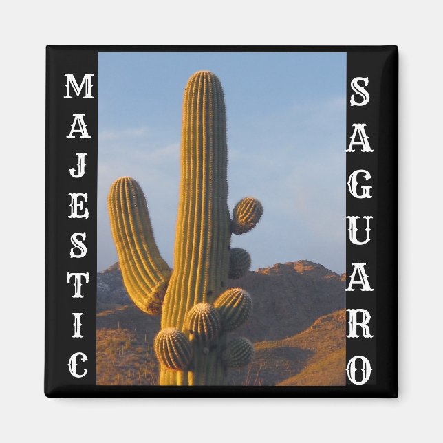 Magnet Carré Majestic Saguaro (Devant)