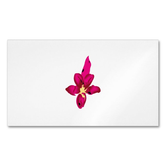 Magnet carte de visite (devant)