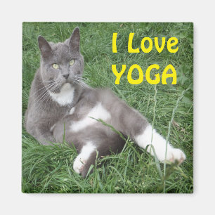 Magnet Cat I Liebe Yoga