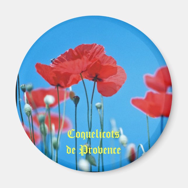 Magnet Coquelicot (Vorne)
