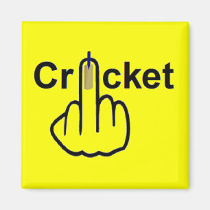 Magnet Cricket Gedreht
