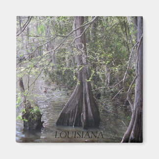 Magnet Cypress Trees