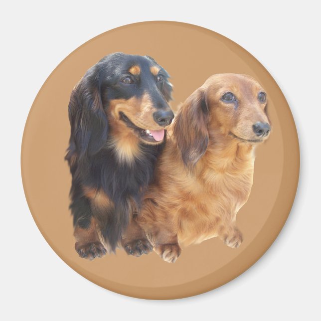 Magnet Dachshund Sweeties (Devant)