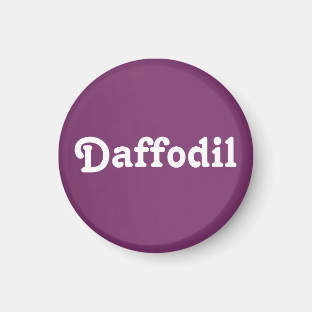Magnet Daffodil (Vorne)