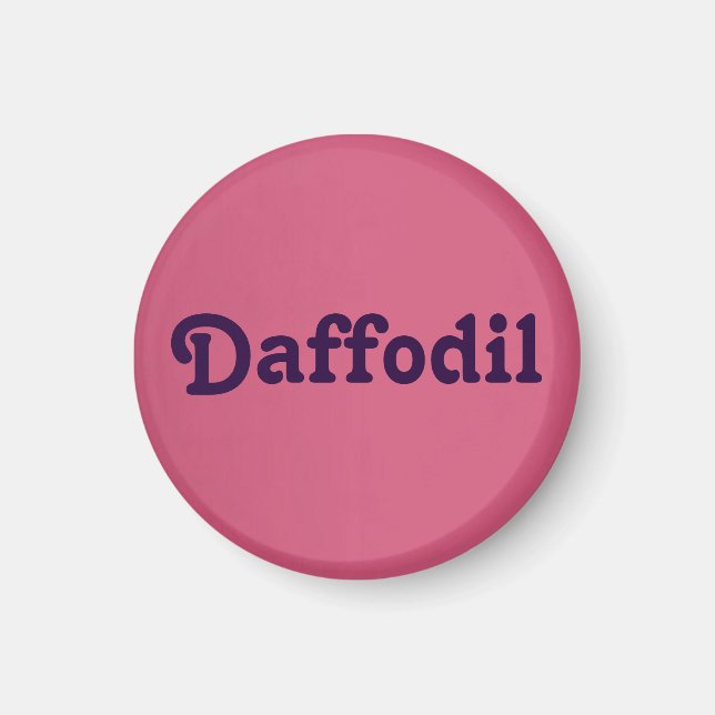 Magnet Daffodil (Vorne)