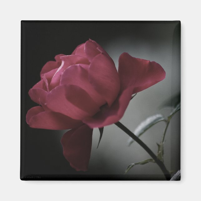 Magnet de beauté de l'amour (Devant)