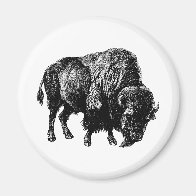 Magnet de bison américain de Buffalo (Devant)