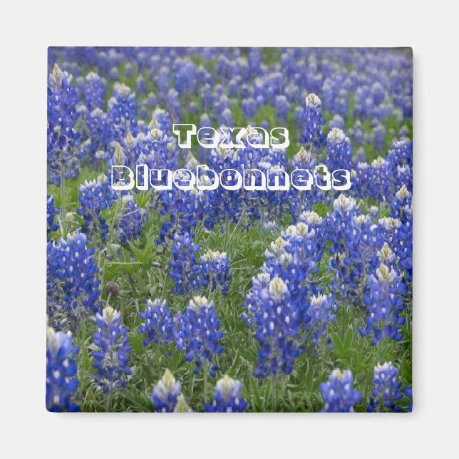 Magnet de bleus à fleurs du Texas (Devant)