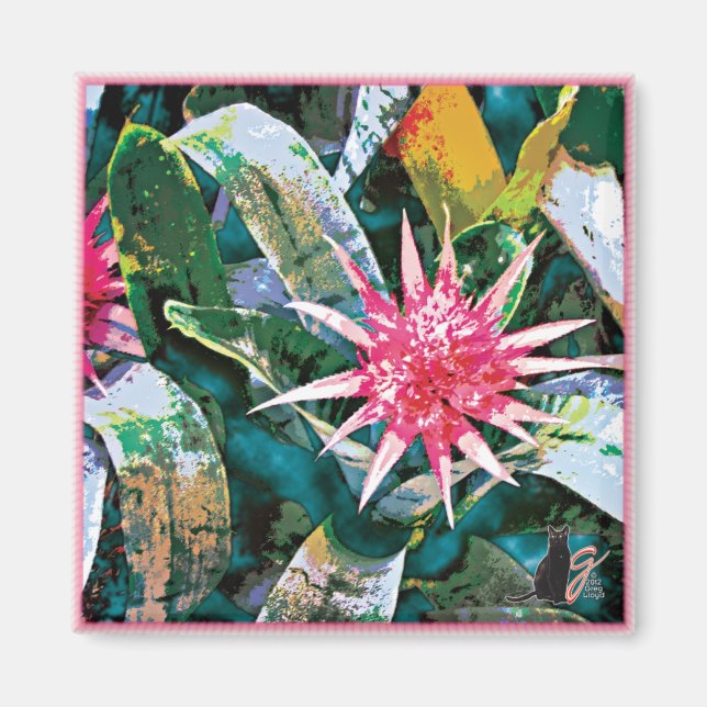 Magnet de bromie de prickly (Devant)