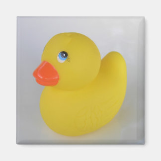 Magnet de canard