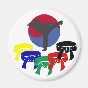 Magnet de ceinture de grade de joueur d'arts