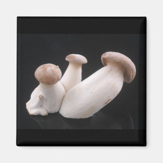 Magnet de champignons de trompette royale