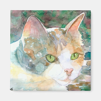 Magnet de chat Calico