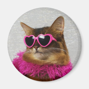 Magnet de chat somalien Glam