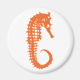 Magnet de cheval de mer orange