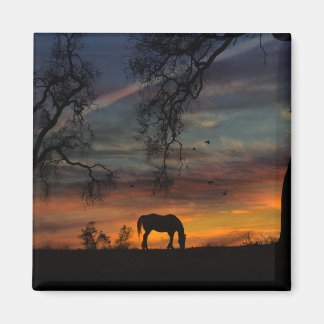Magnet de Cheval du Sud-Ouest