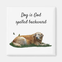 Magnet de chiens de races mixtes du Labrador jaune