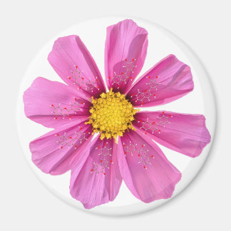 Magnet de chimie des fleurs