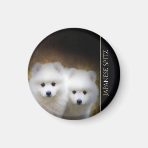 Magnet de chiots spitz japonais
