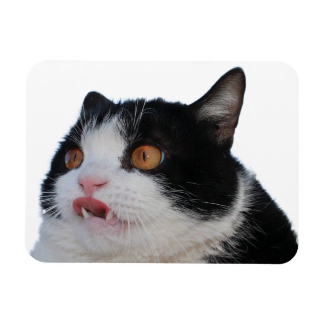 Magnet de clé (Horizontal)