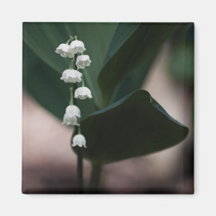 Magnet de cloches sucrées