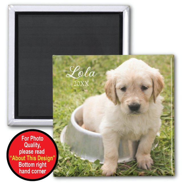 Magnet de conservation avec photo (Créateur téléchargé)