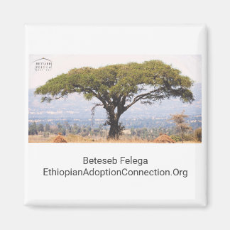 Magnet de cuisine Beteseb Felega