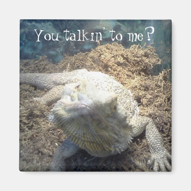 Magnet de dragon à oreilles (Devant)