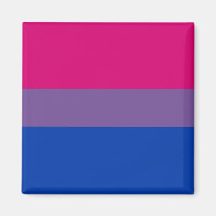 Magnet de drapeau de fierté de Bi