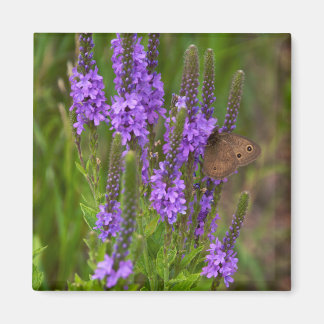 Magnet de fleurs et de papillons des Prairies