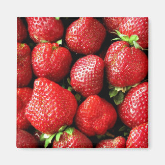 Magnet de fraises