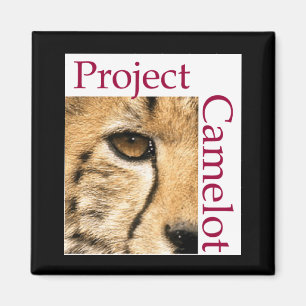 MAGNET DE FRIDGE DE CAMELOTES DE PROJET