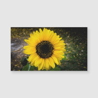 Magnet de frigidaire Tête de tournesol