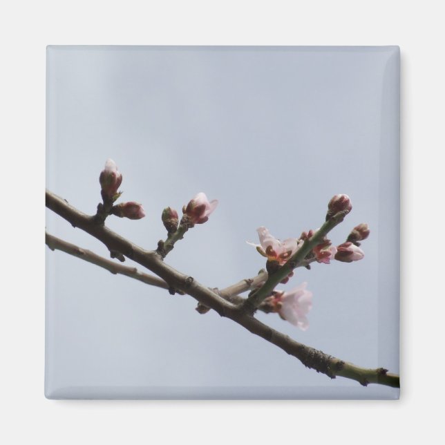 Magnet de la branche de fleur (Devant)