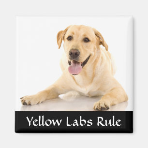 Magnet de la règle des Laboratoires jaunes "Labra