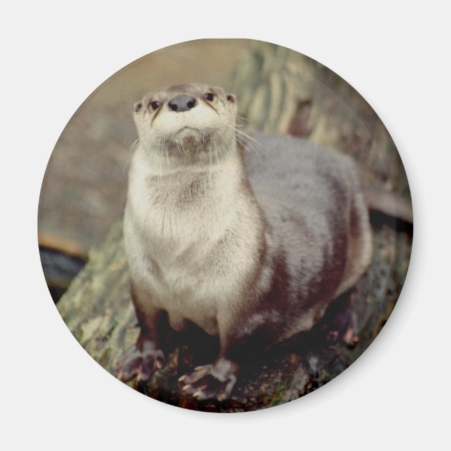 Magnet de la rivière Otter (Devant)
