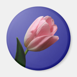 Magnet de la tulipe de mariage du printemps